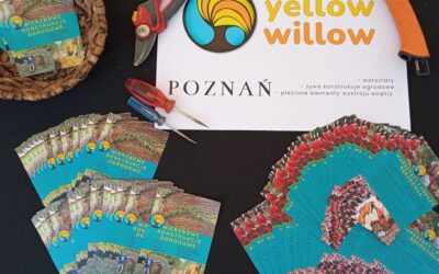 Światowy Festiwal Wikliny i Plecionkarstwa w Poznaniu 2023 r.